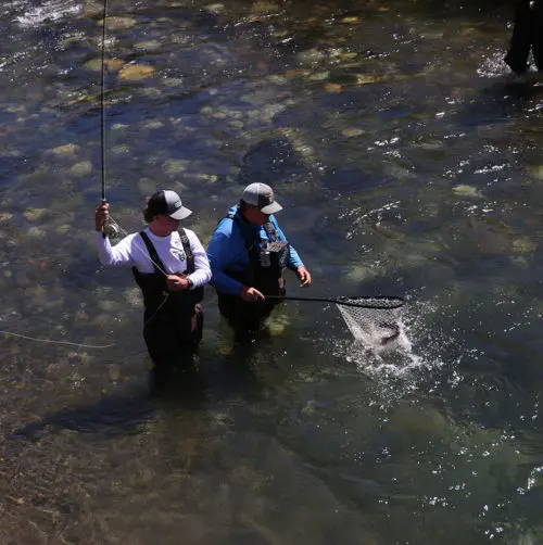 Stockingfoot Wader - Image 4